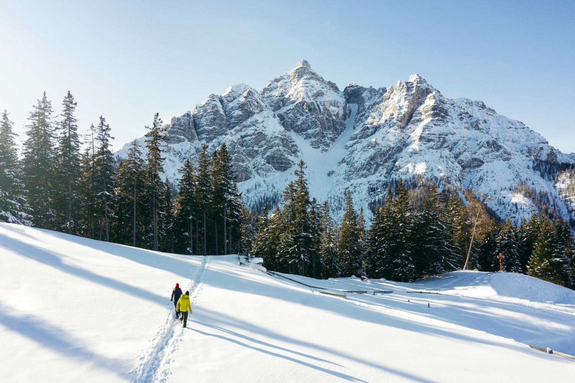 Stoanmandl Wohlfuehlappartements Neustift im Stubaital Extérieur photo