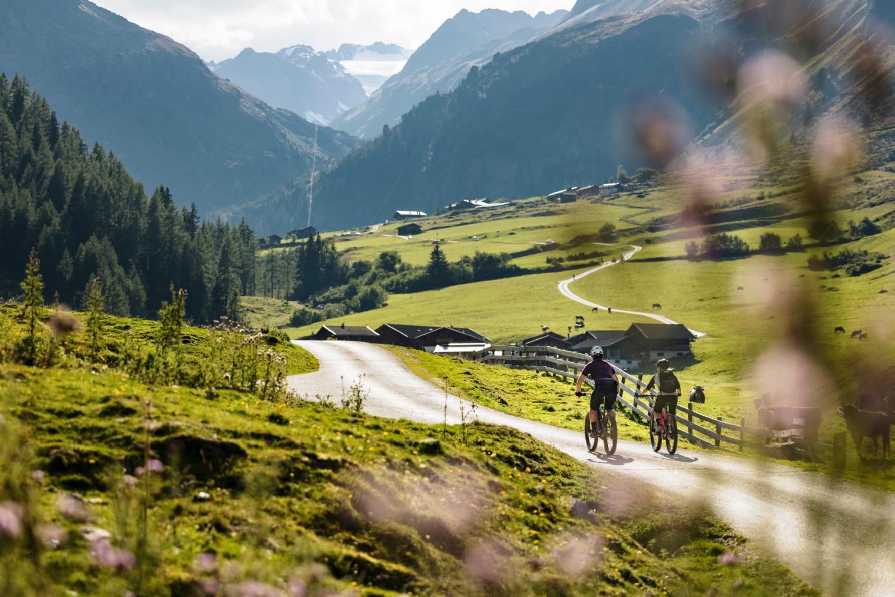 Stoanmandl Wohlfuehlappartements Neustift im Stubaital Extérieur photo