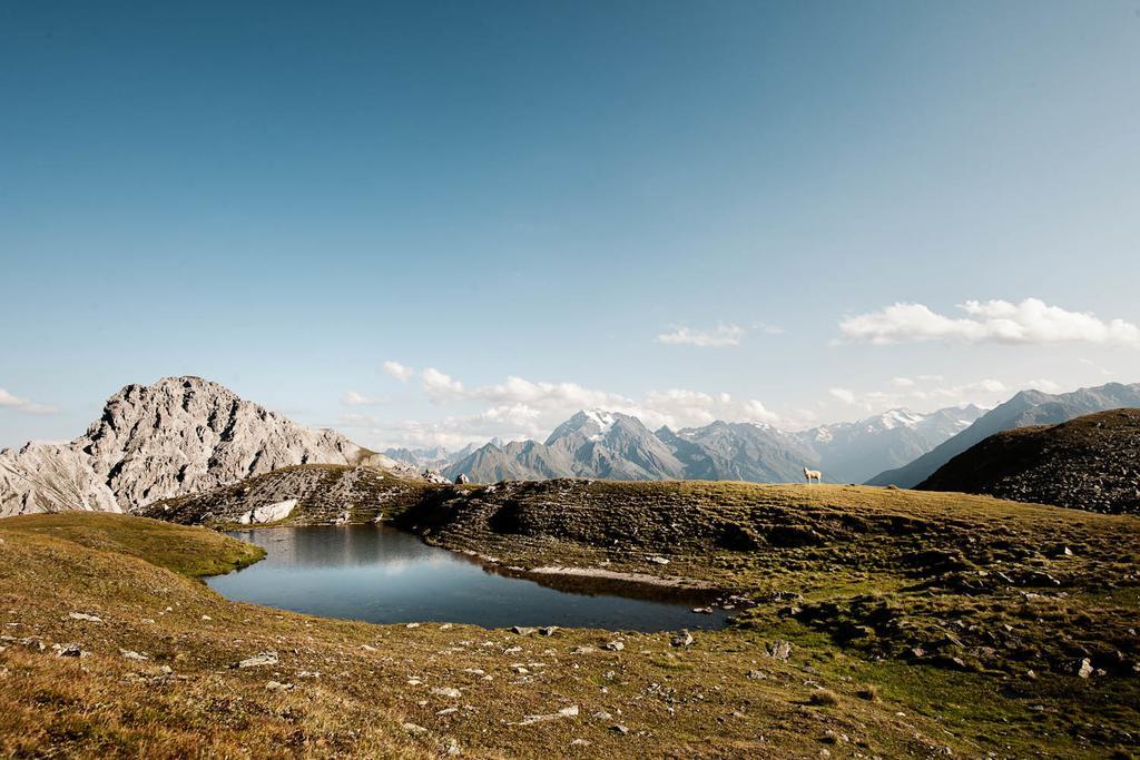 Stoanmandl Wohlfuehlappartements Neustift im Stubaital Extérieur photo